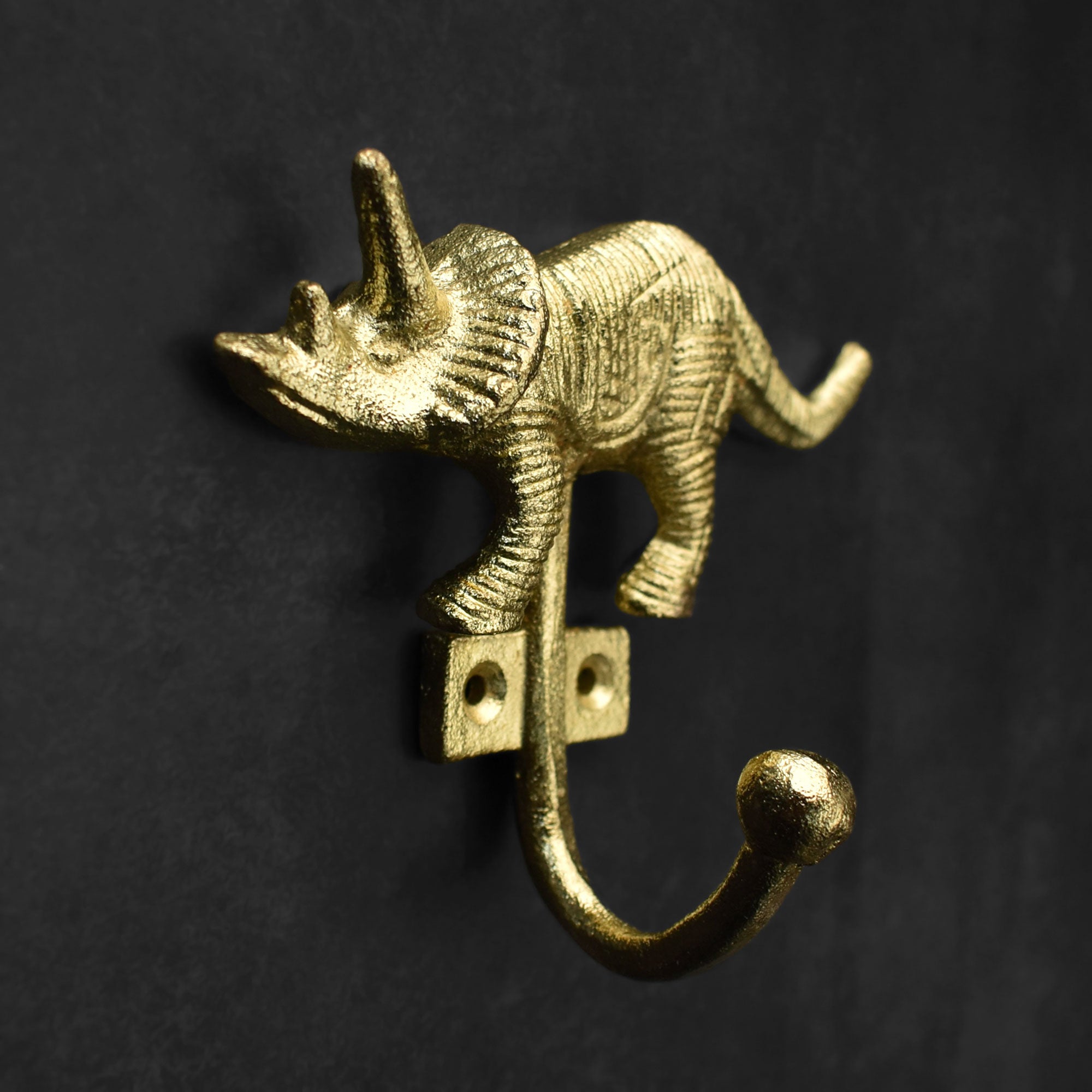 dinosaur coat and wall hook