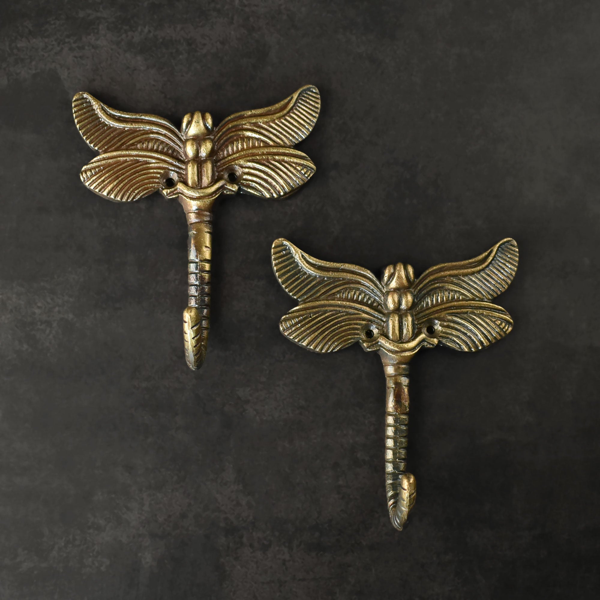 The Bug Wall Hook Dragonfly Coat Hook Hanger Spruce and Pop