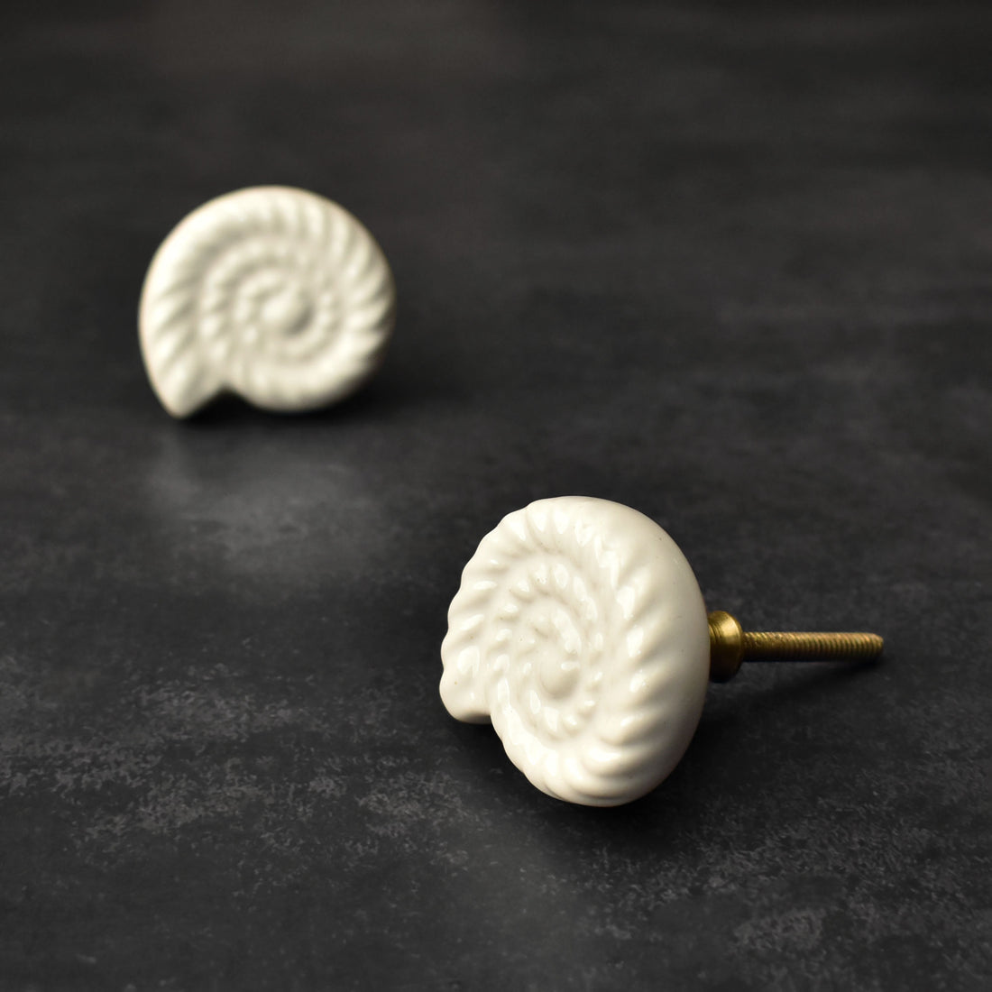 Mollusca White Nautical Ceramic Cabinet Knob