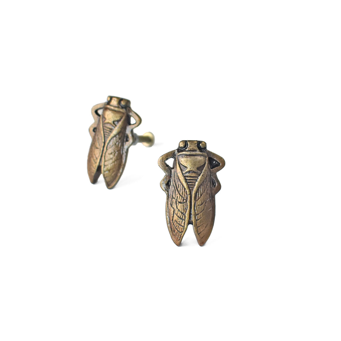 Marvin Cicada Cabinet Drawer Knob