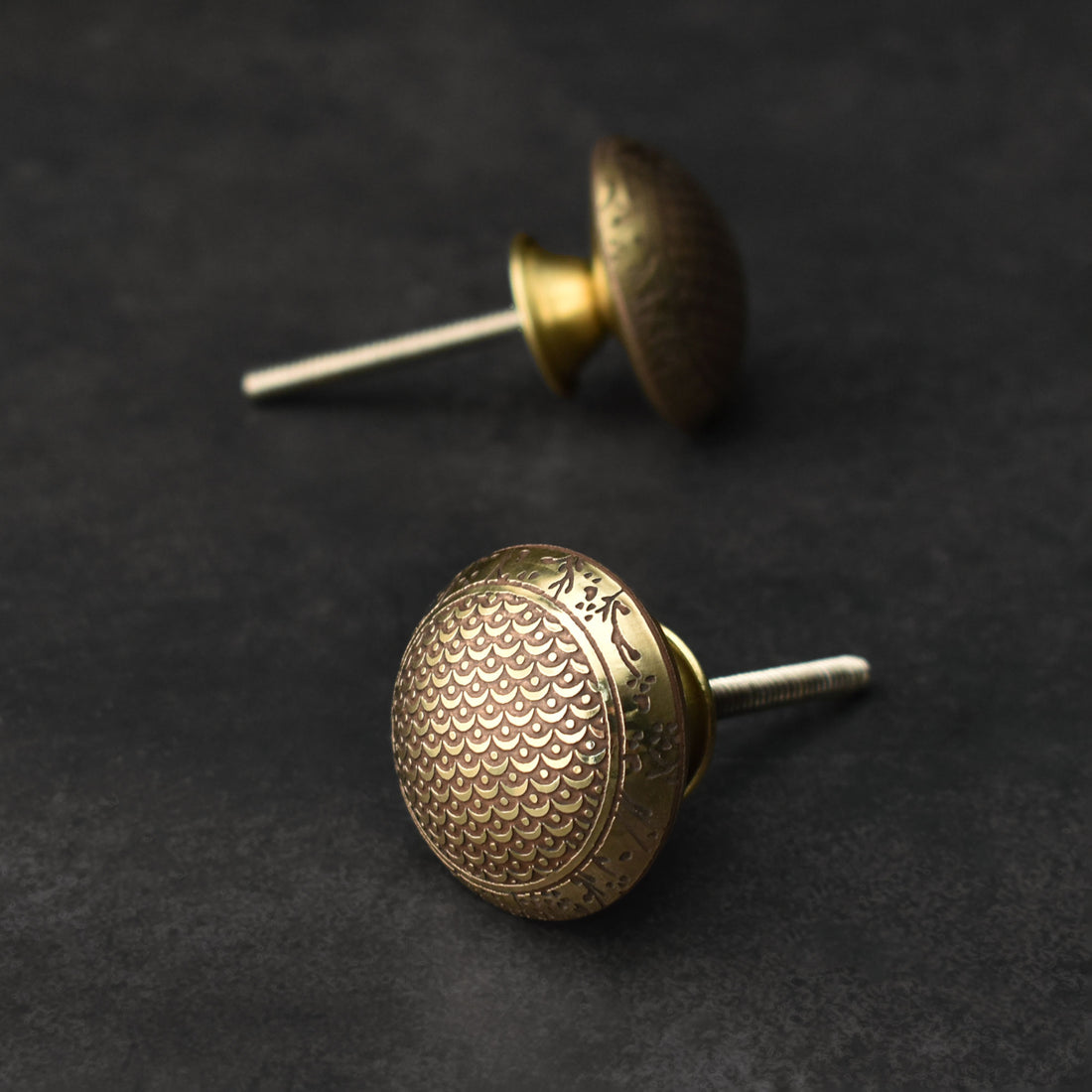 Raphael Brass Cabinet Drawer Knob