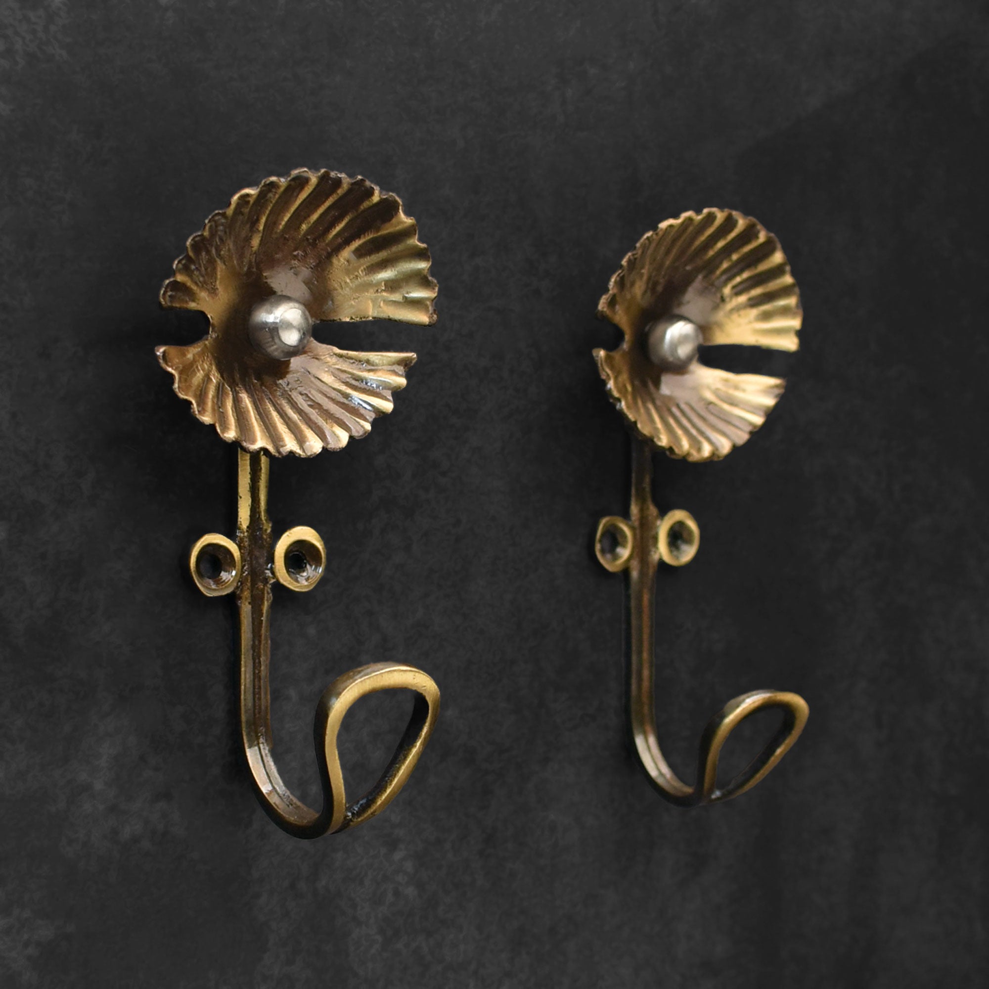Pelagia Brass Oyster Wall Hook Keys Hanger
