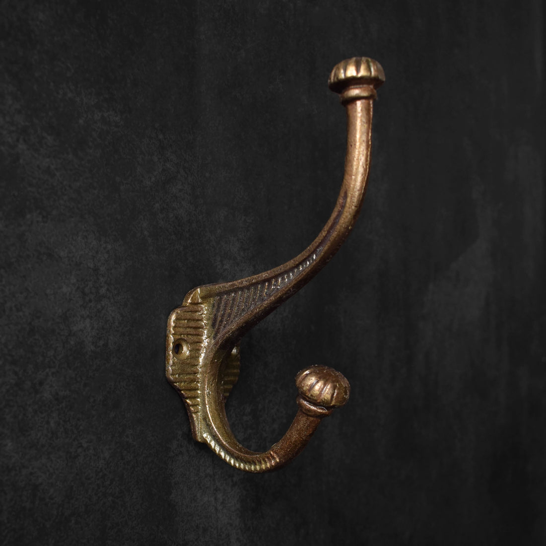 Newt Cast Iron Coat and Towel Wall Hook
