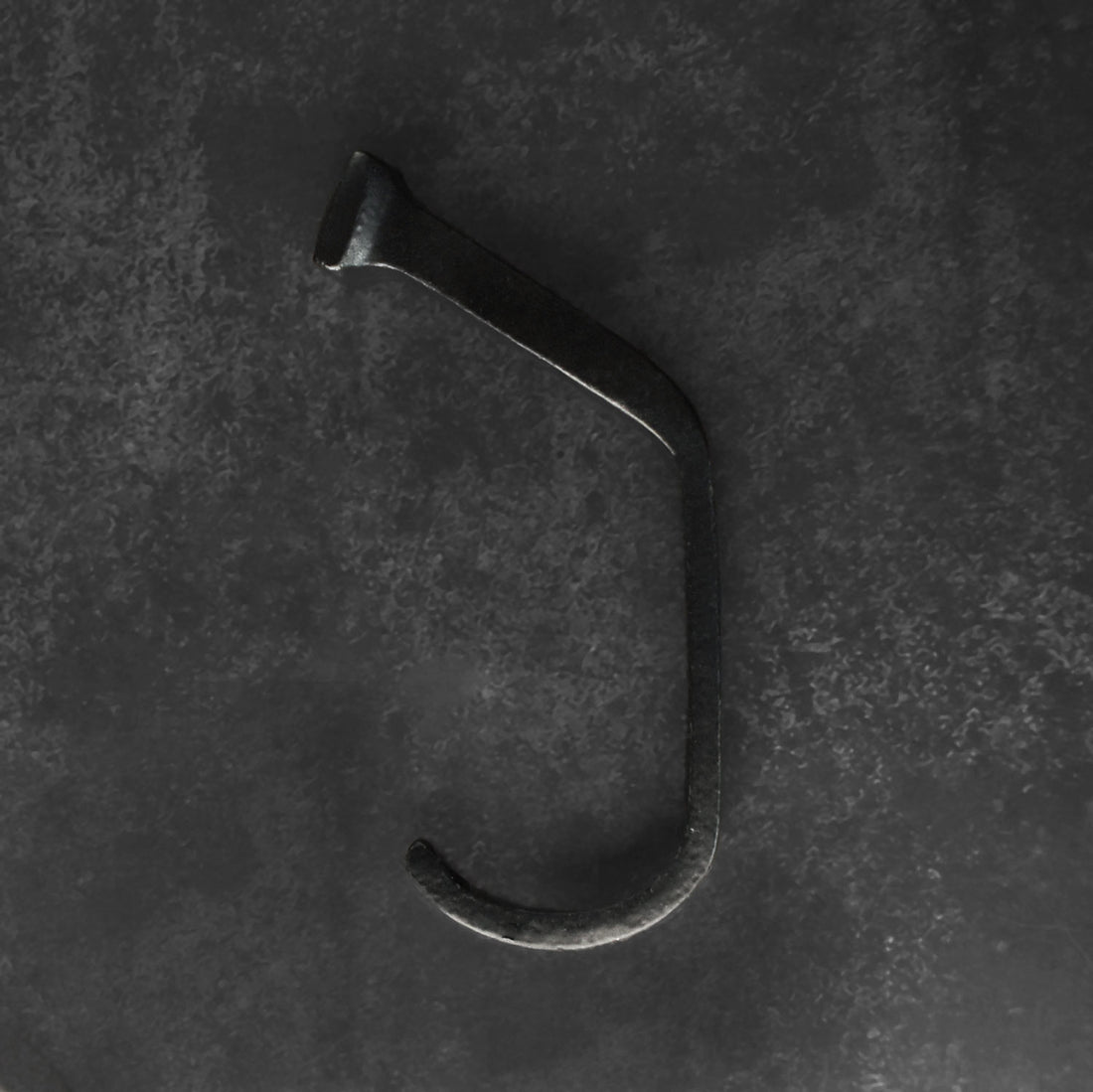 Ginkgo Cast Iron Minimalist Coat Wall Hook and Hanger