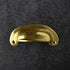 polished brass cup pull handle