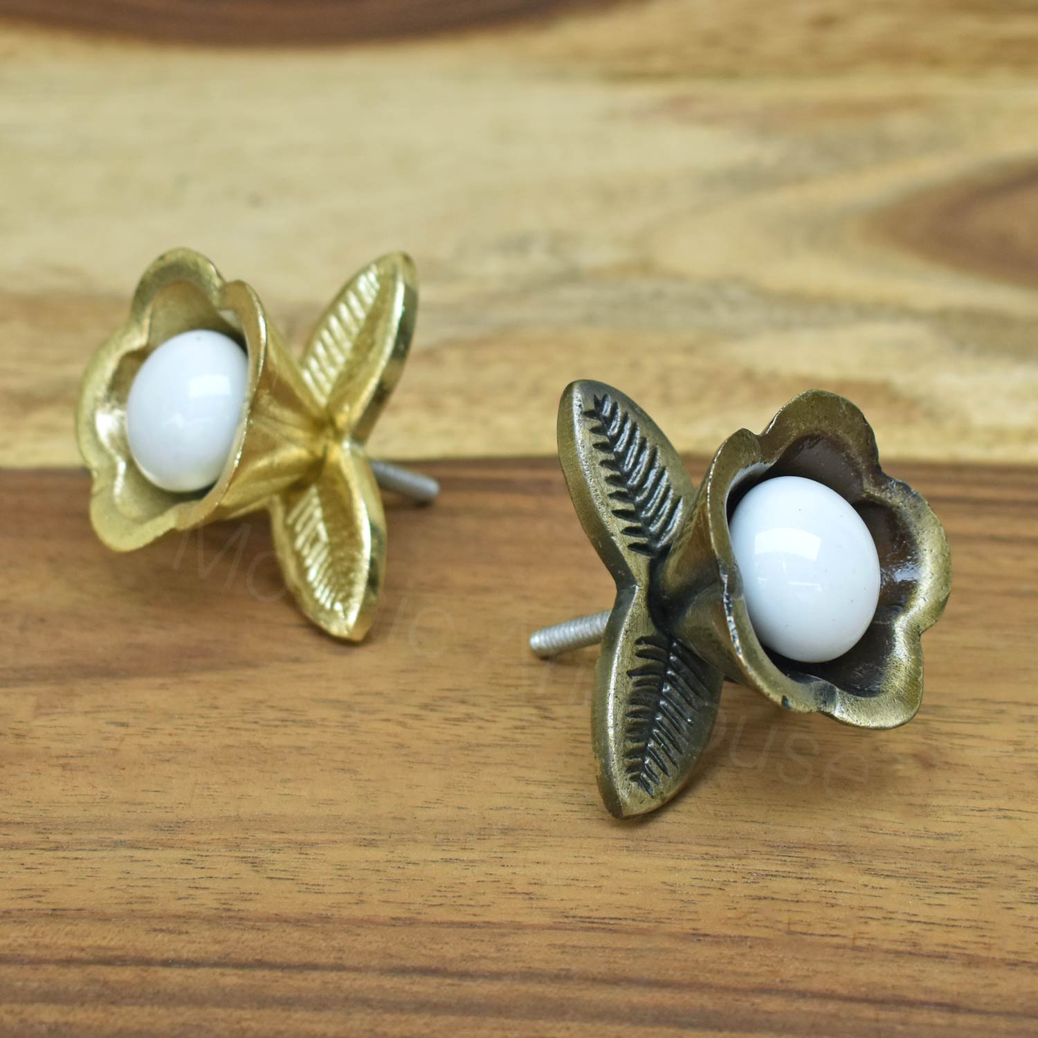 Iris Brass Cabinet Drawer Knob