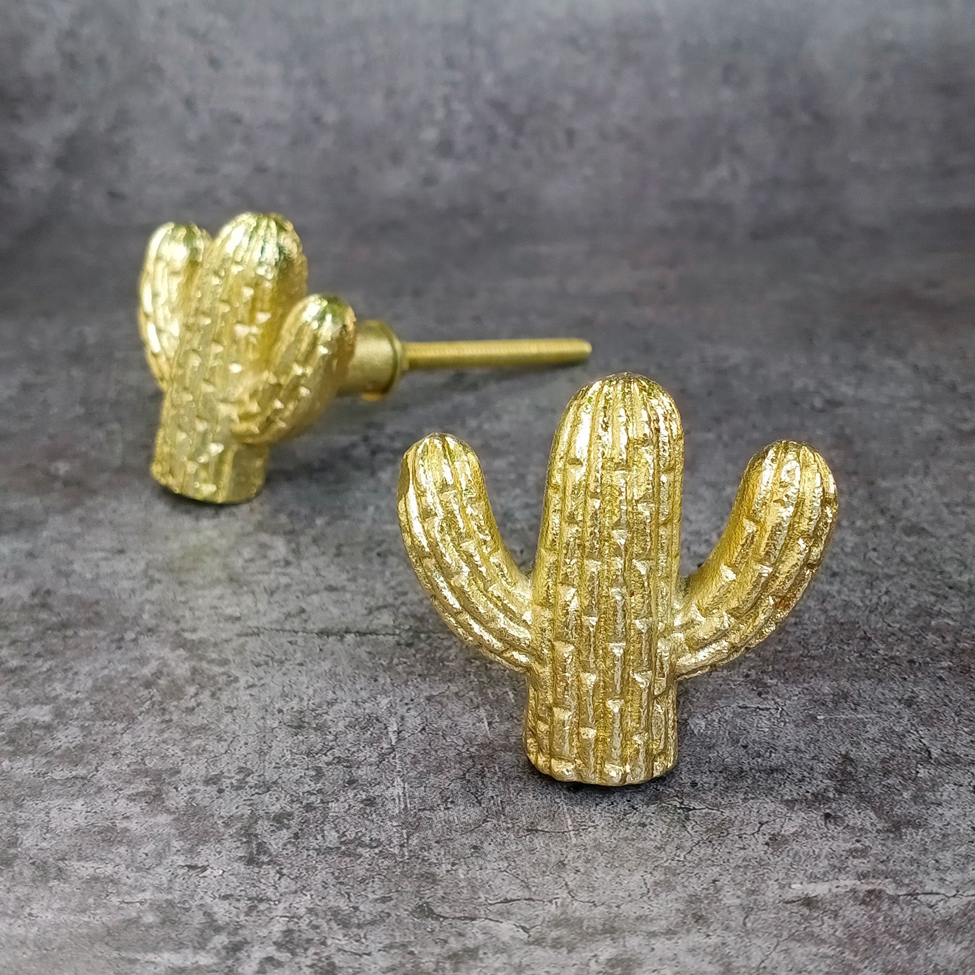 Xena the Cactus Gold Cabinet Dresser Knob