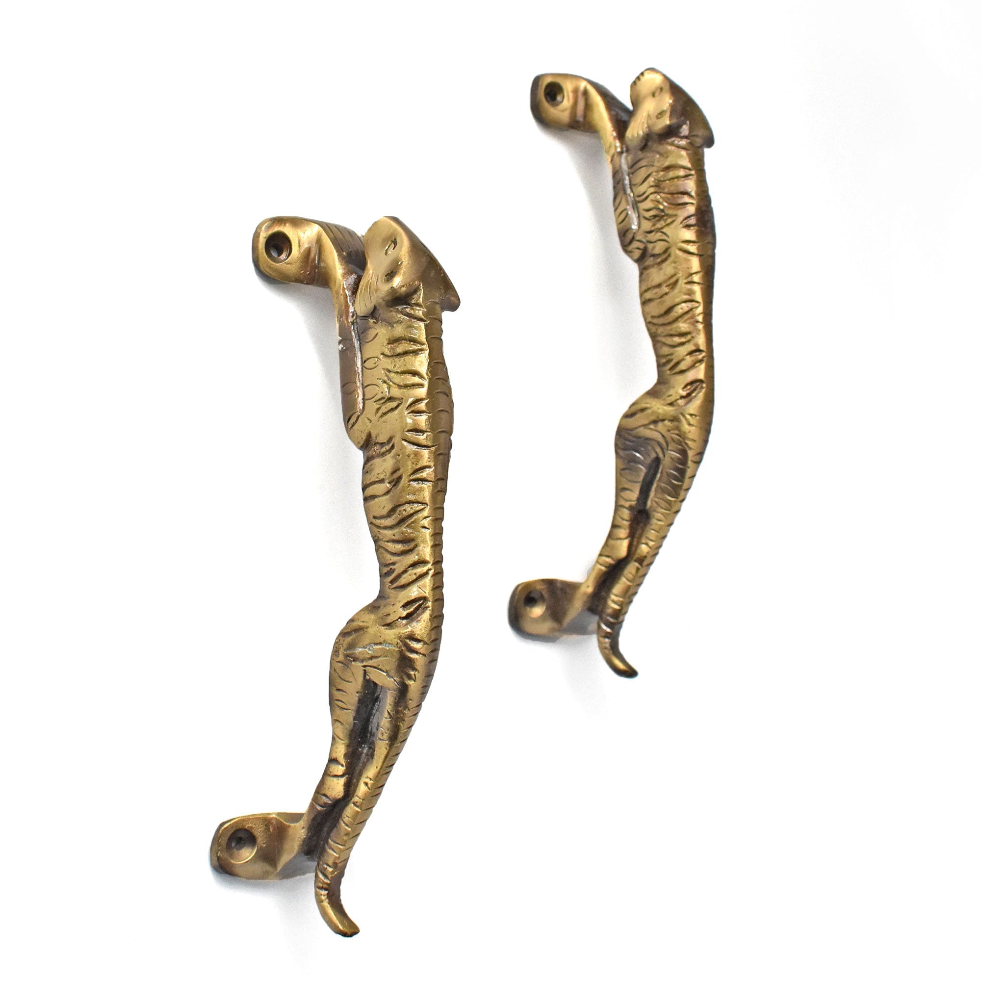 brass tiger door handle