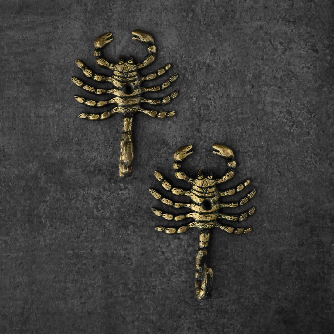 Claws Scorpion Coat Hook and Hanger