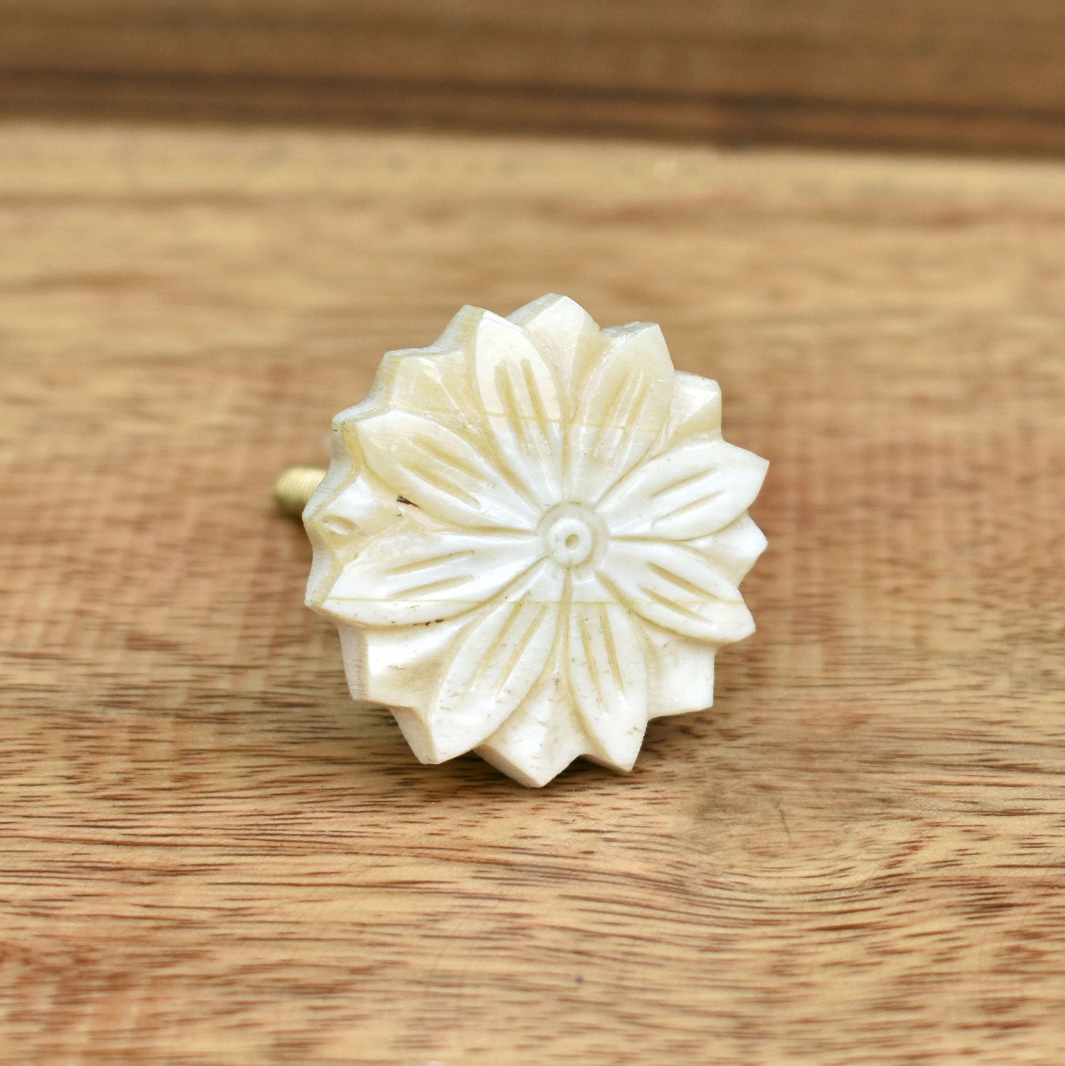 Nebula Bone Flower Drawer Knob and Pull