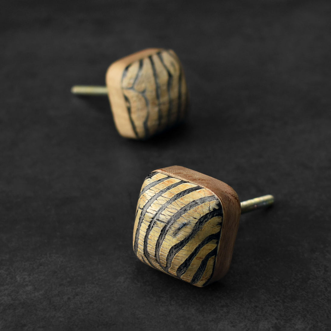 Elowen Chic Square Horn Cabinet Drawer Knob