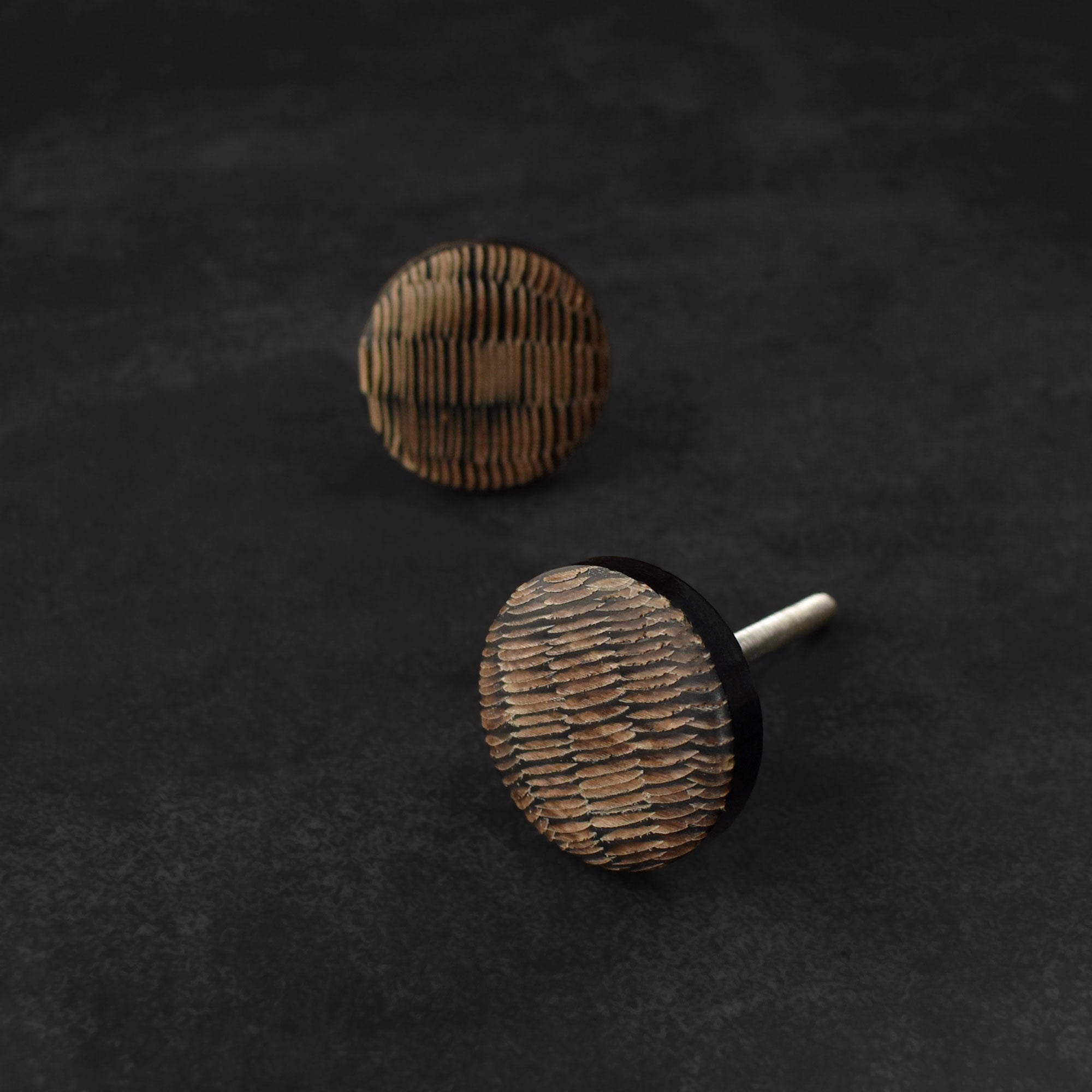 Napa Horn Kitchen Cabinet Knob