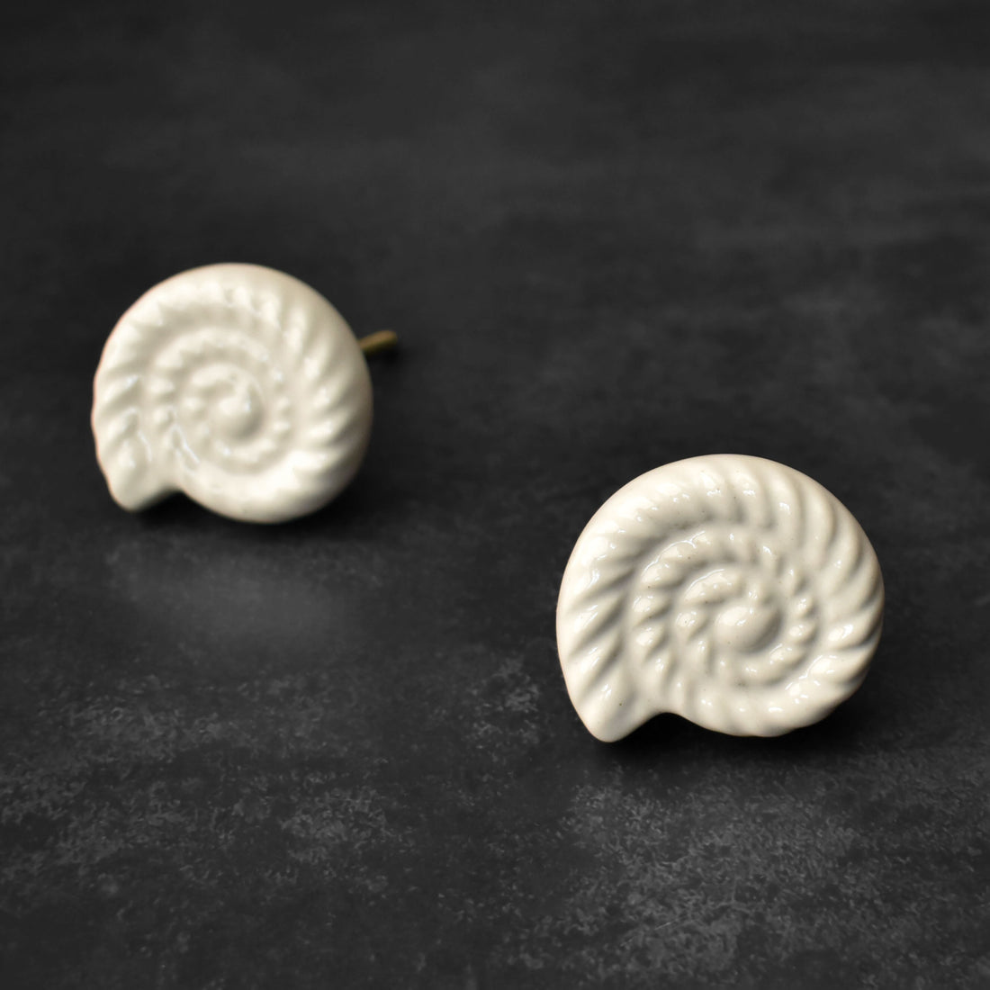 Mollusca White Nautical Ceramic Cabinet Knob