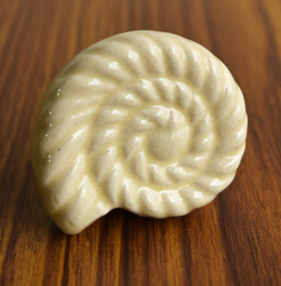 Mollusca White Nautical Ceramic Cabinet Knob