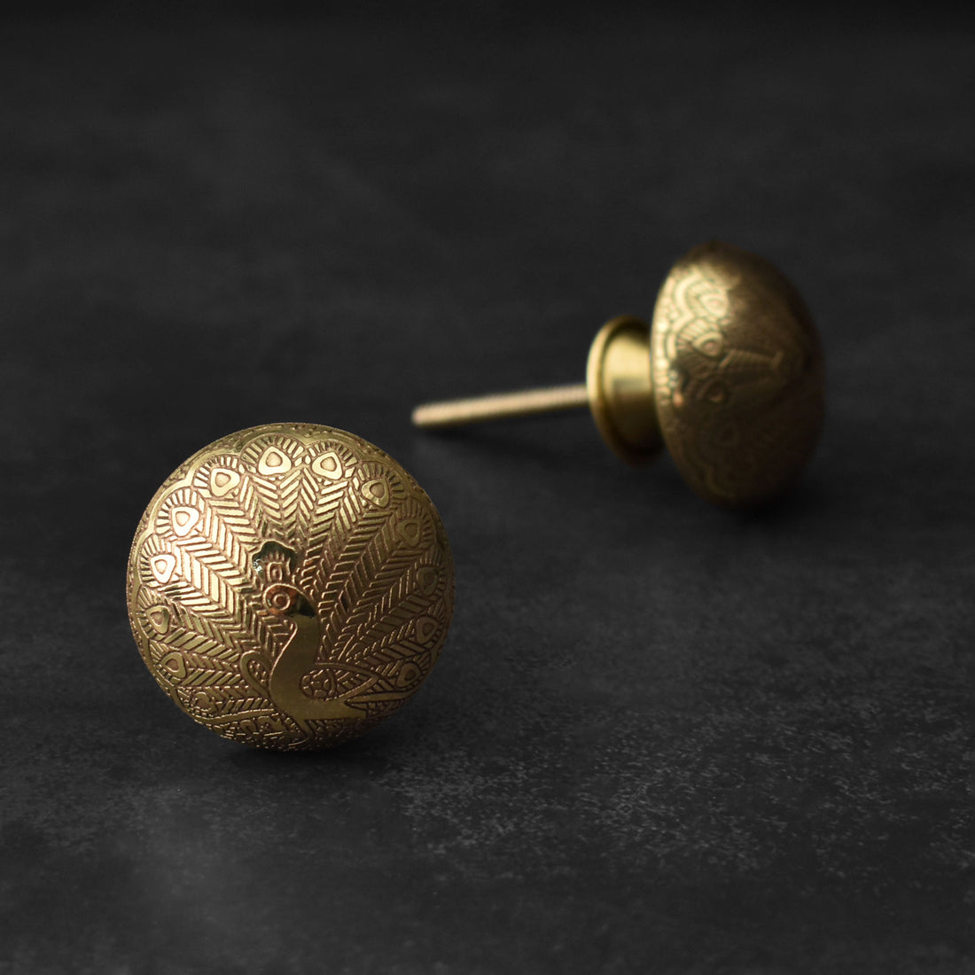 Mayur Brass Cabinet Drawer Knob