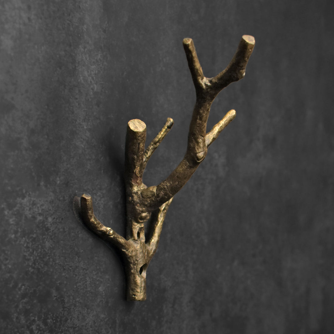 Arboris Branch Cast Iron Wall Hook and Key Hanger