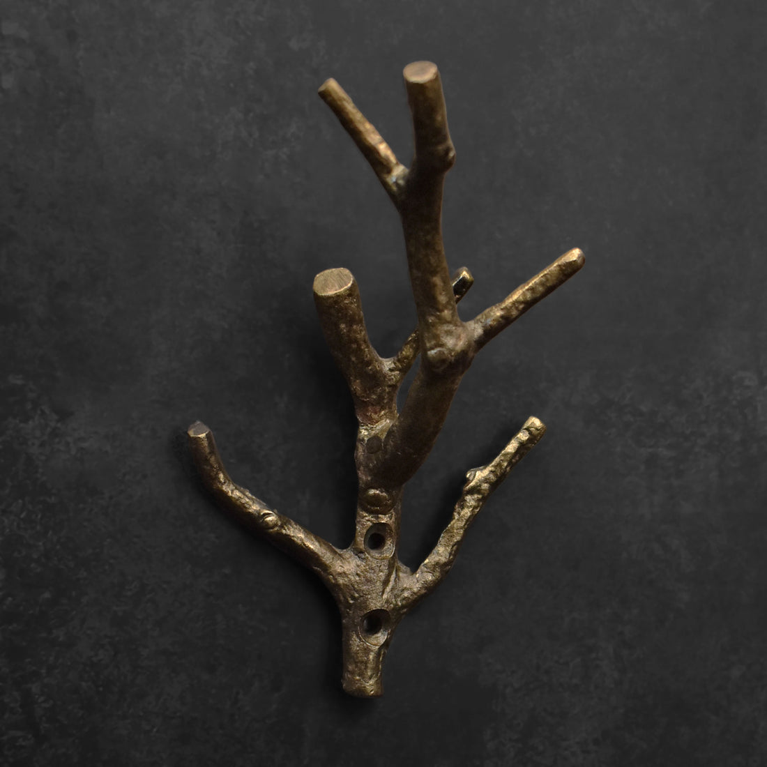 Arboris Branch Cast Iron Wall Hook and Key Hanger