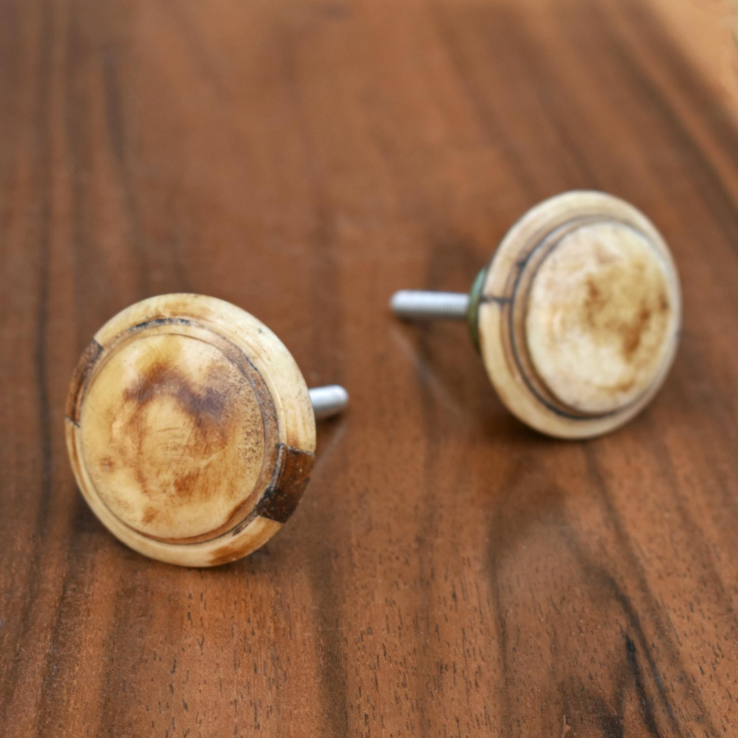 Gaia Bone Cabinet Dresser Knob