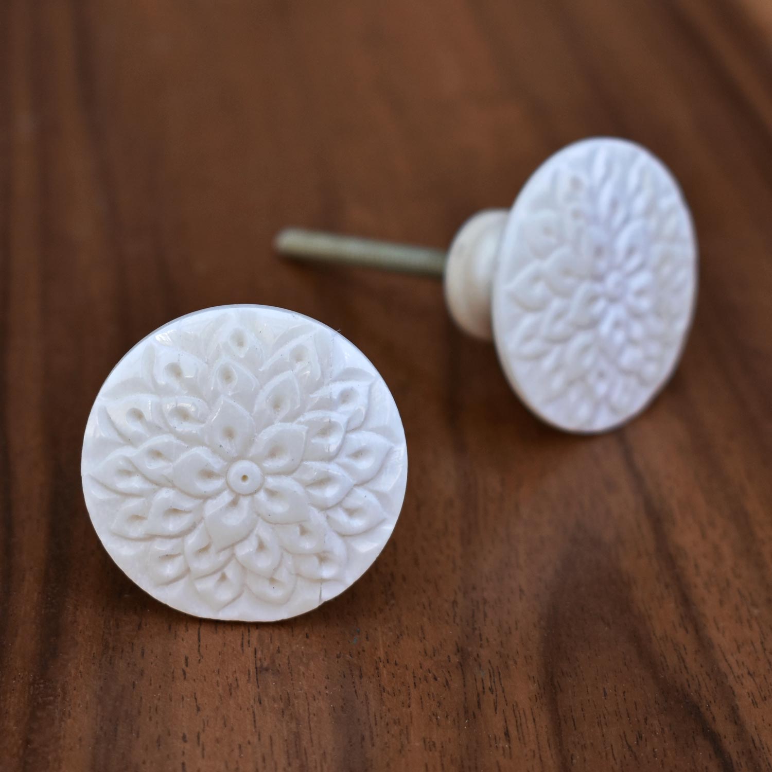 Harper Ivory Bone Cupboard Cabinet Dresser Knob