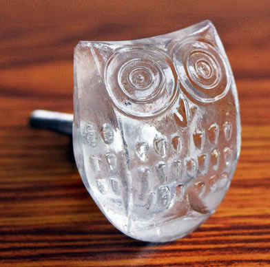 Levi Owl Clear Glass Cabinet Door Knob and Pull