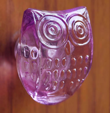 Rosebud Owl Glass Cabinet Door Knob and Pull