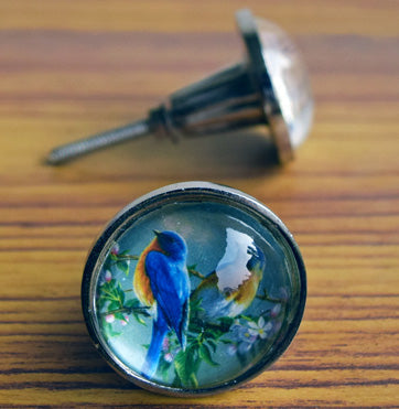 Bluejay Metal Glass Cabinet Dresser Knob and Pull