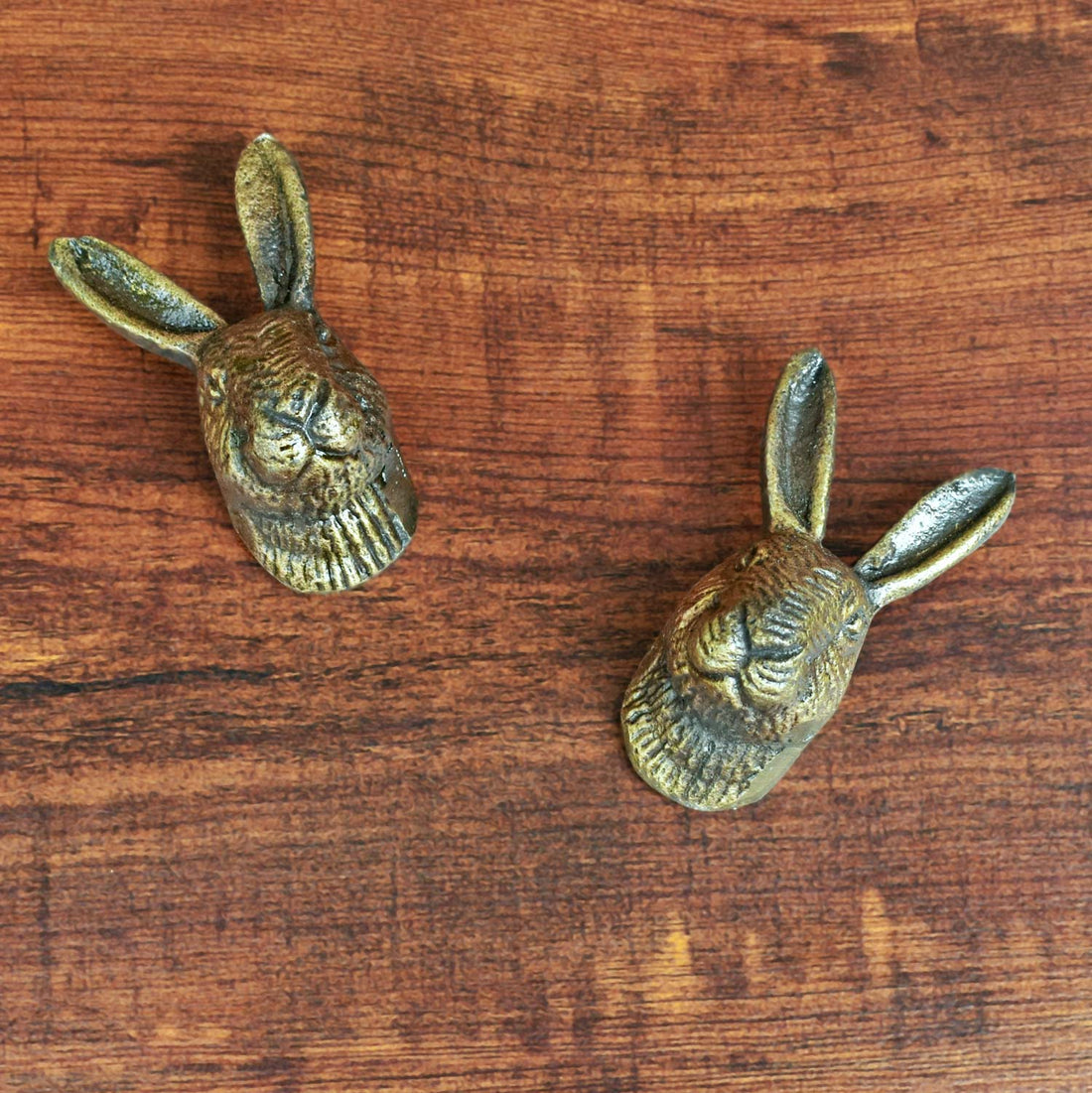 rabbit cabinet knob