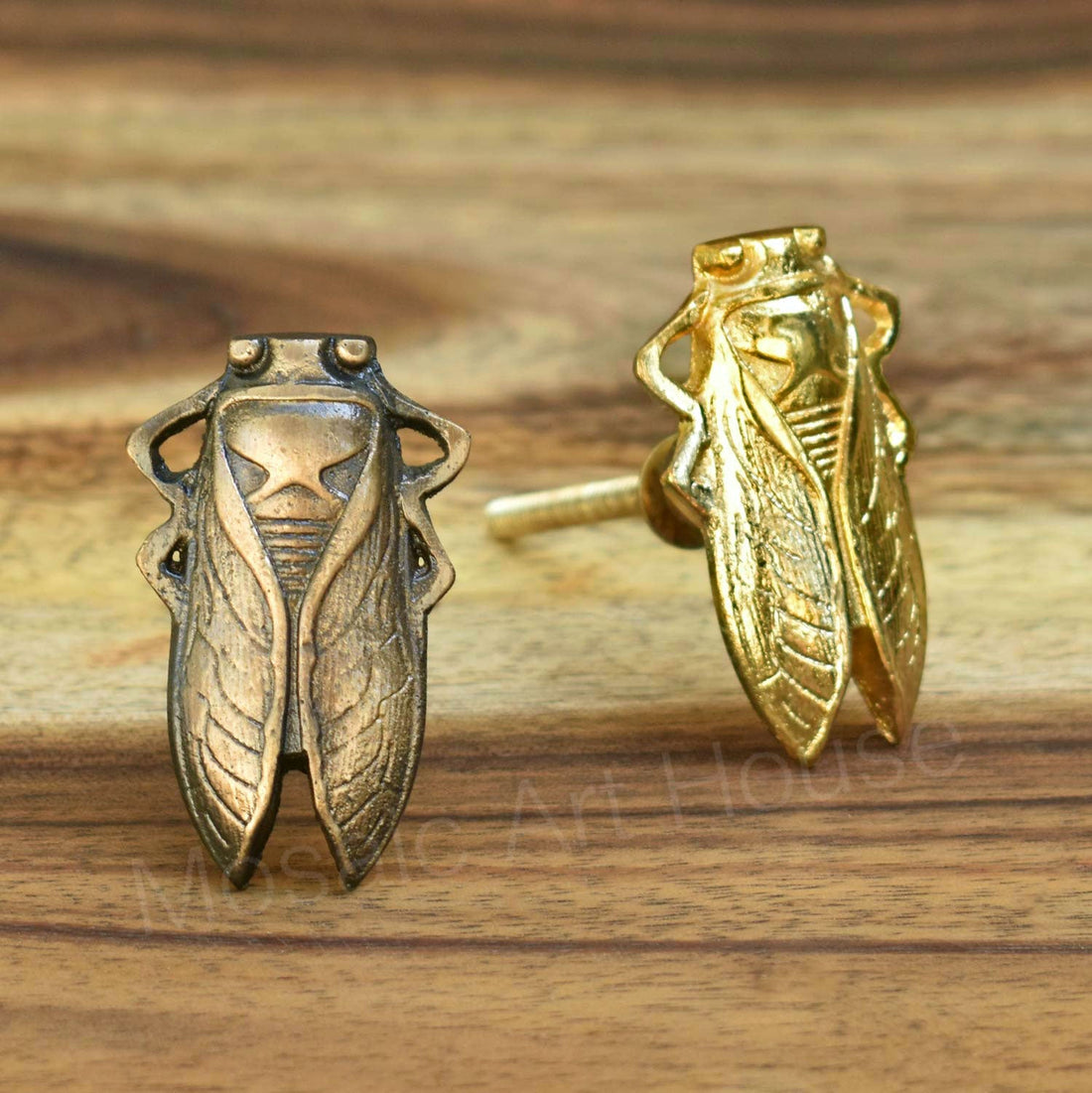 Marvin Cicada Cabinet Drawer Knob